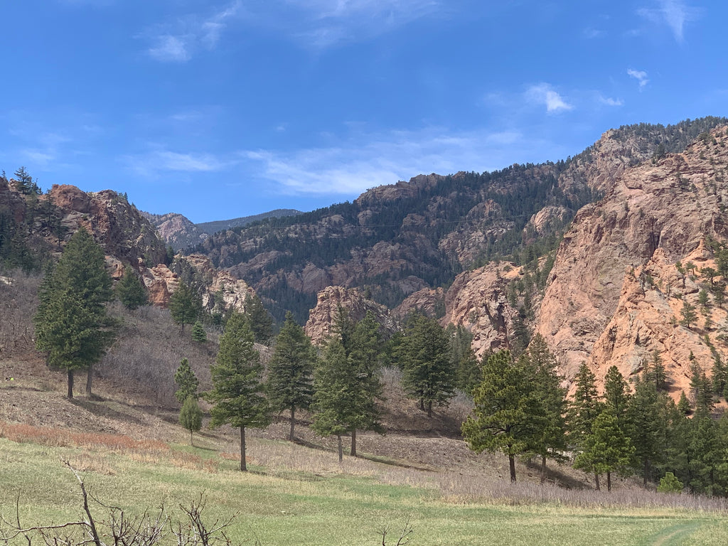 View from the Chamberlain Trail in Colorado Springs, Colorado