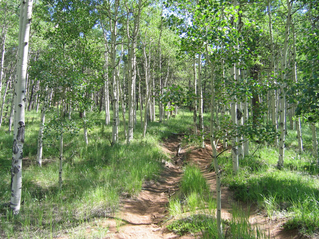 Jones Park, Colorado Springs, Pocket Pals Trail Maps