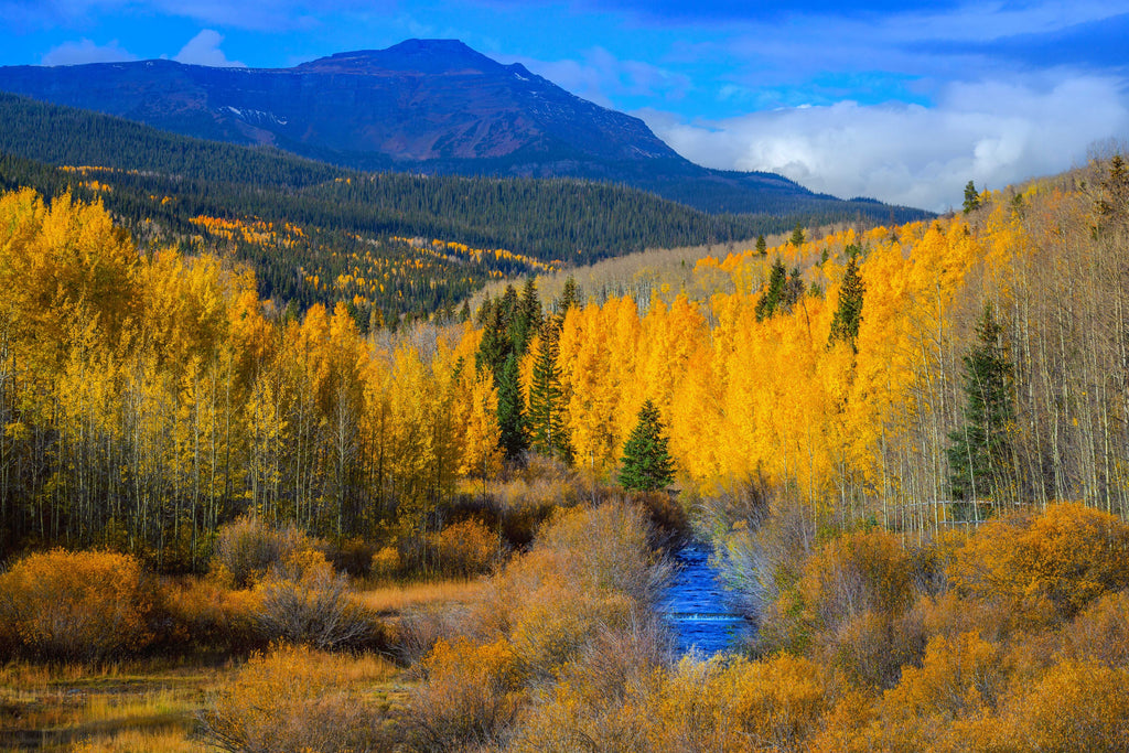 Colorado Outdoors - Leave No Trace