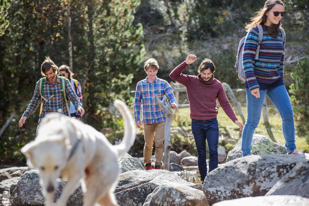 Should I Let My Dog Off Leash While Hiking Pocket Pals Trail Maps should-i-let-my-dog-off-leash-while-hiking-pocket-pals-trail-maps