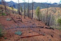 Waldo Canyon will continue to be closed